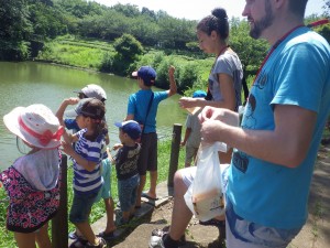 Feeding the ducks