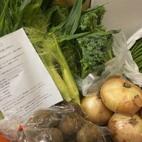 🥬千葉県の農家さんからお野菜を頂きました🥕