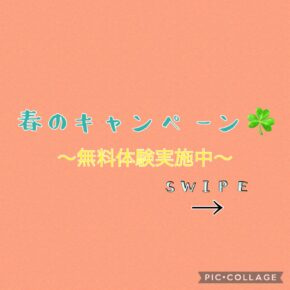 春のキャンペーン開催🏵️
